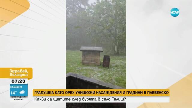 Какви са щетите в Телиш след градушката в четвъртък - Здравей, България (09.05.2025)