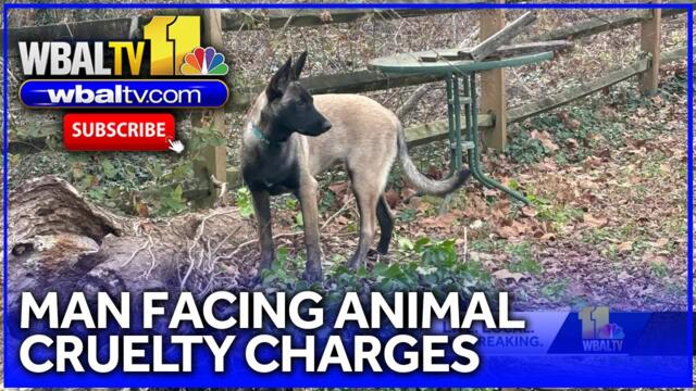 Charging docs: Man shot dog, thought it was a coyote