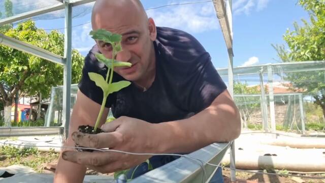 За еврото, едно капаро и страшното, което се вмъкна вече в България. Да ръгнем краставицата на Бойко