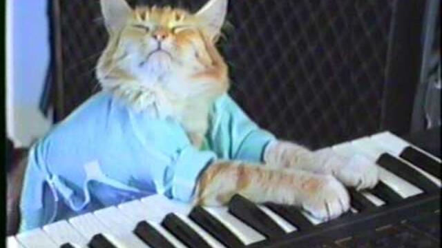 KEYBOARD CAT ORIGINAL CLIP 1984