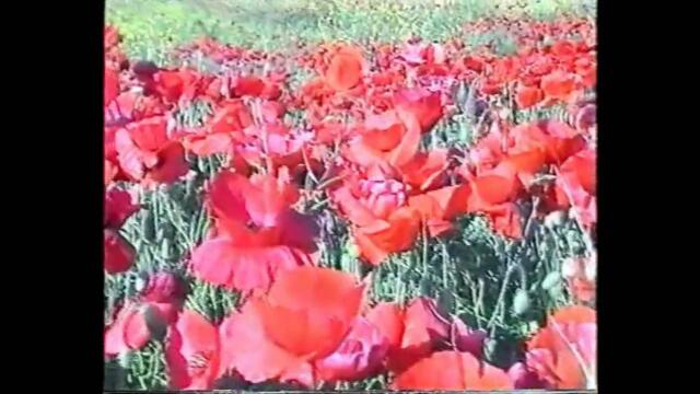 Imvrios Petros - Petaksa Ta Oneira Mou.wmv