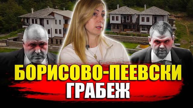 Как мафиотското управление в България ограби предприемачите?