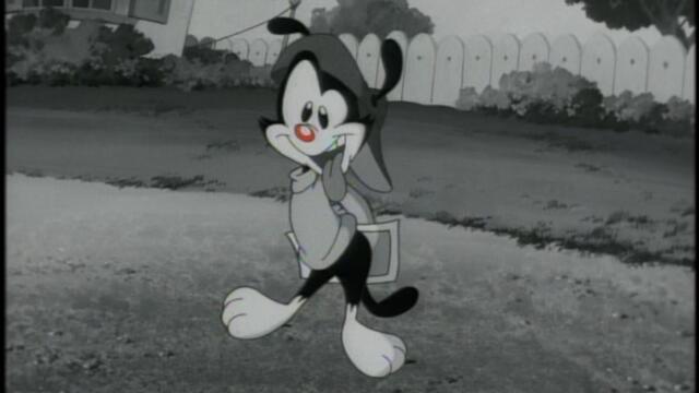 Animaniacs S01-E65