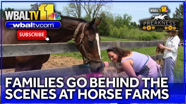 Families go behind the scenes on horse farm tours