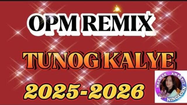 OPM REMIX|TUNOG KALYE|2025-2025 #remix #nonstop