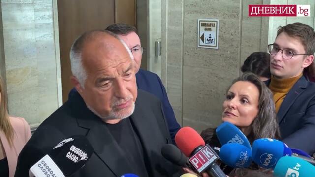 Борисов се съгласи с критиките на Пеевски, ще му изпълни исканията