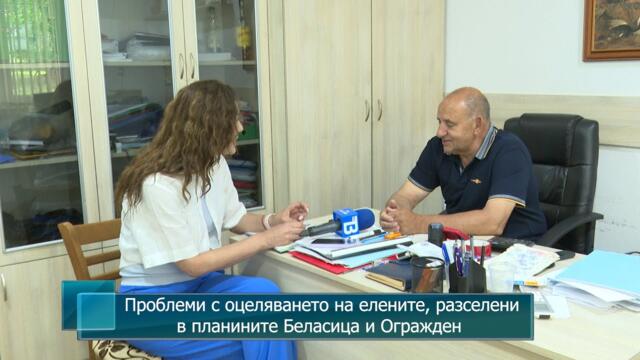 Проблеми с оцеляването на елените, разселени в планините Беласица и Огражден