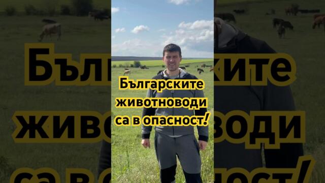 Ивелин Михайлов за българското животновъдство! #bulgaria #българия #политика #величие #бг