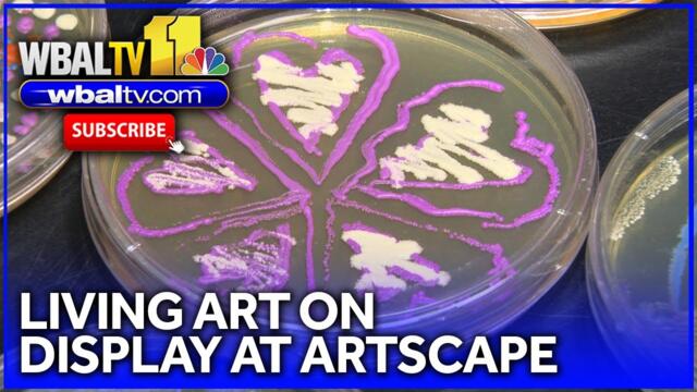 Science lab to showcase 'living art' at Artscape