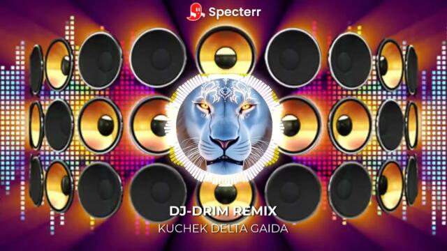 KUCHEK DELTA GAIDA REMIX DJ-DRIM