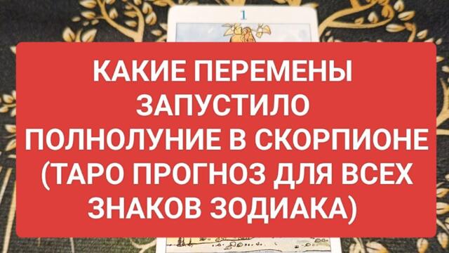 #таропрогноз КАКИЕ ПЕРЕМЕНЫ ЗАПУСТИЛО ПОЛНОЛУНИЕ В СКОРПИОНЕ ДЛЯ ВСЕХ ЗНАКОВ ЗОДИАКА