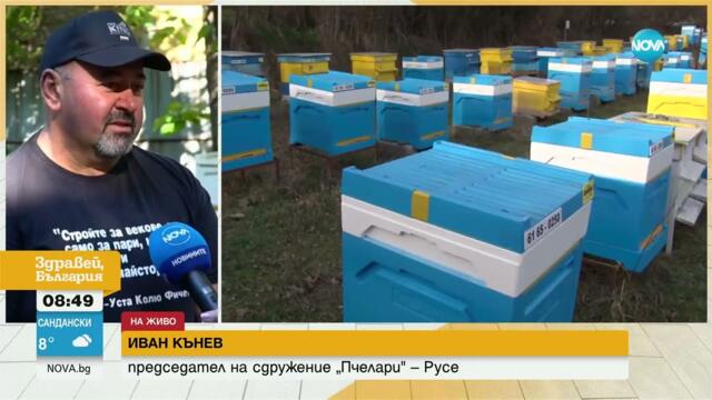 Ще има ли български мед тази година - Здравей, България (14.05.2025)