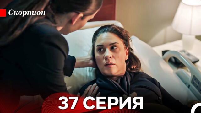 Скорпион  37 Серия (Русский дубляж)