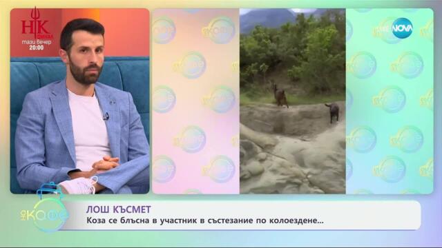 Лош късмет: Коза се блъсна в участник в състезание по колоездене - „На кафе“ (14.05.2025)