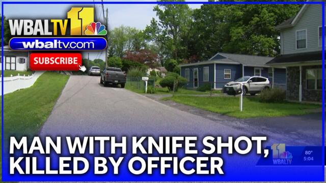 Knife-wielding man shot by police in Essex