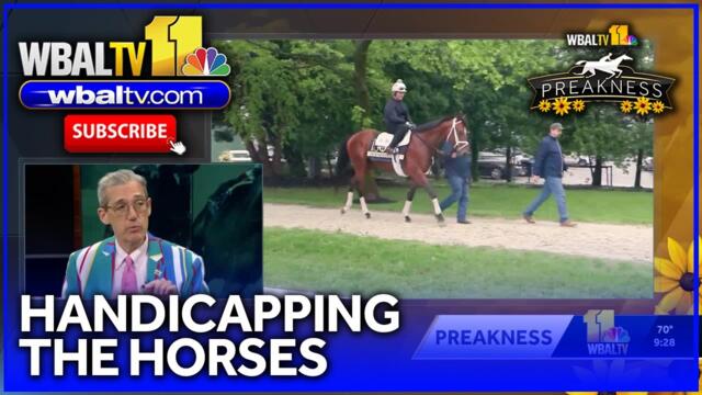 Racing enthusiast has everything to know ahead of Preakness Stakes