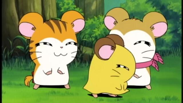 Hamtaro S01-E147