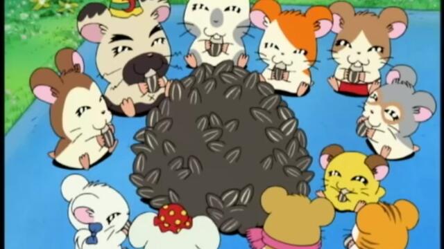 Hamtaro S01-E148