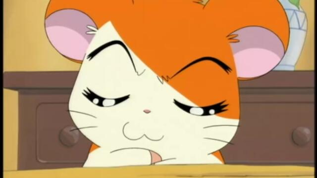 Hamtaro S01-E149