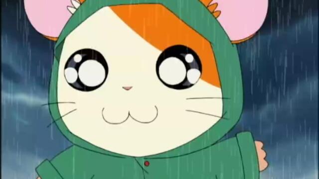 Hamtaro S01-E152
