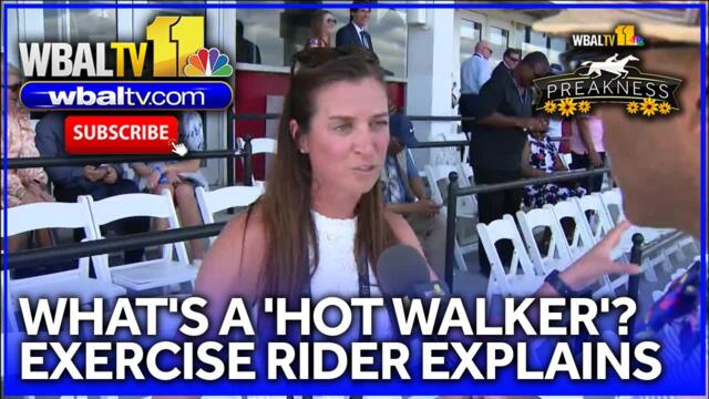 Exercise rider explains how horses are prepared