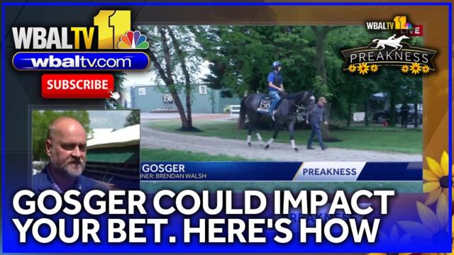 Horse racing analyst on how Gosger could impact your bet