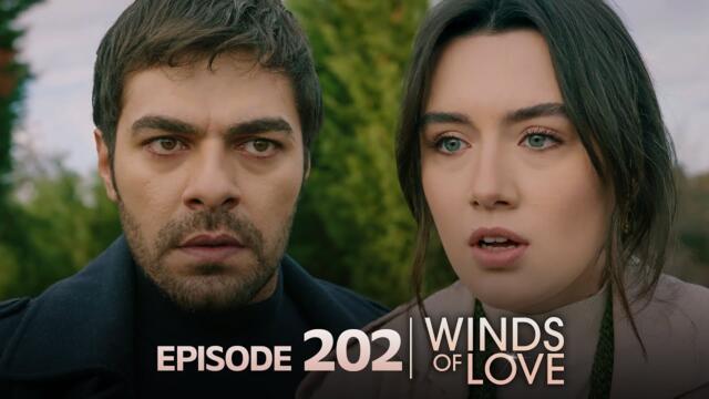 Rüzgarlı Tepe 202. Bölüm | Winds of Love Episode 202