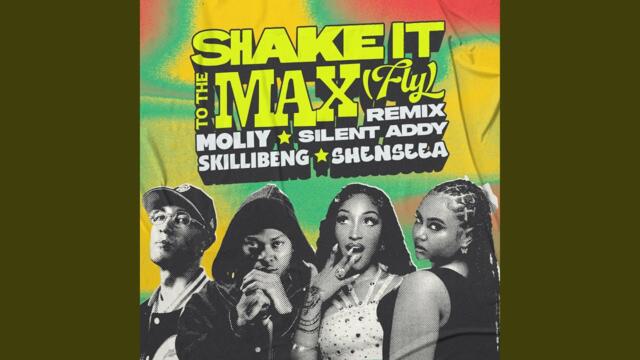 Shake It To The Max (FLY) (Remix)