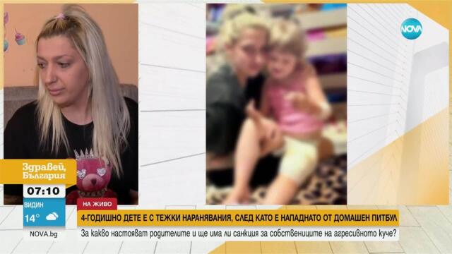 Домашен питбул нападна 4-годишно момиченце - Здравей, България (20.05.2025)