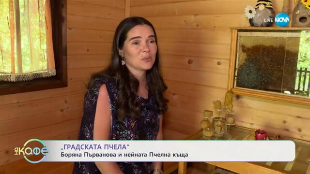 „Градската пчела“: Боряна Първанова и нейната Пчелна къща- „На кафе“ (20.05.2025)
