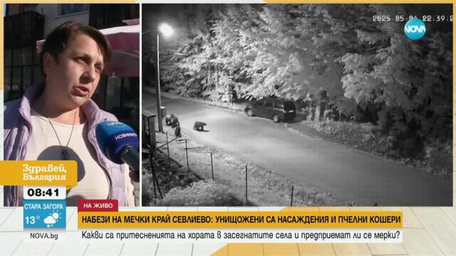 Зачестиха набезите на мечки в Севлиевско, хората се страхуват