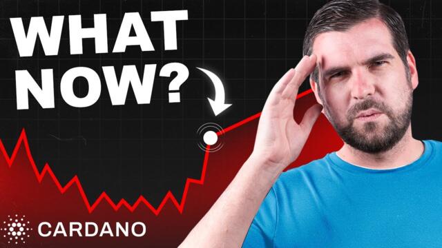 Is Cardano in Trouble After This Big Fall?