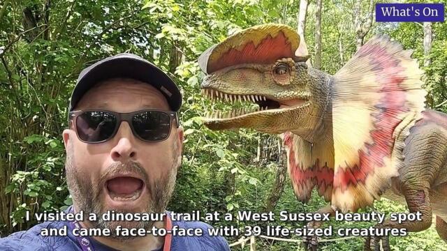 Sussex World Morning Update 23 May, 2025