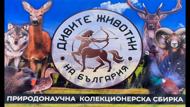 Дивите животни на България