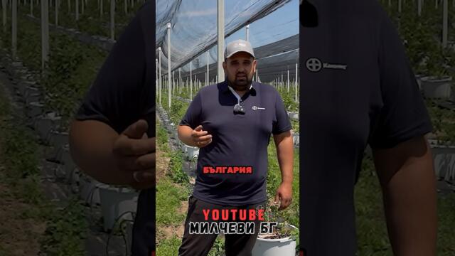 Как оцелява една българска ферма | Ферма Петкови #българия #животнасело #производители