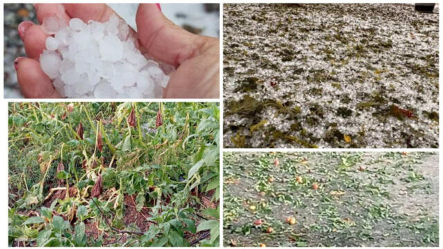 Невиждани градушки опустошиха България -  Стара Загора и Ямбол