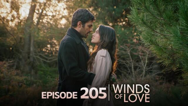 Rüzgarlı Tepe 205. Bölüm | Winds of Love Episode 205