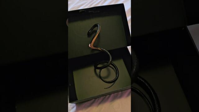 Да им е Гадно 🤣🤣🤣. #смях #funny #comedyfilms #българия #humor #comedymovies #funnycomedy #пранк #