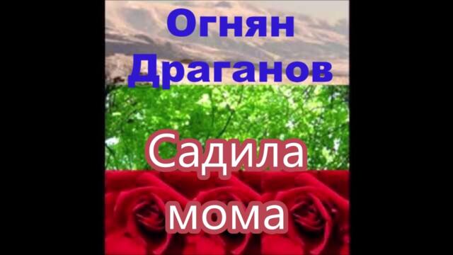 Садила мома