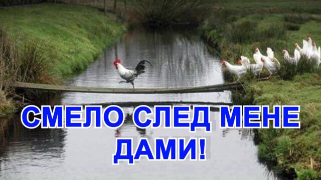 ИМА ЛИ МАШИНИСТ ВЪВ ВЛАКА ЗА БРЮКСЕЛ ?