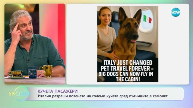 Италия разреши возенето на големи кучета сред пътниците в самолет - „На кафе“ (27.05.2025)