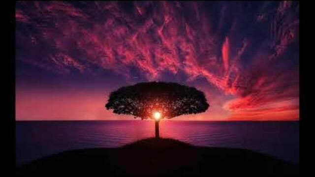 Азис   Жено бягай