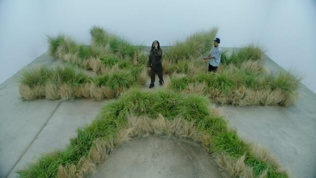 MAVI - Landgrab feat. Earl Sweatshirt (Official Music Video)