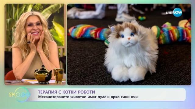 Терапия с котки-роботи: Механизираните животни имат пулс и яркосини очи - „На кафе“ (29.05.2025)