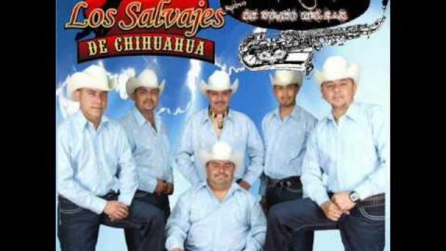 Los Salvajes De Chihuahua- La Cumbia Bonita