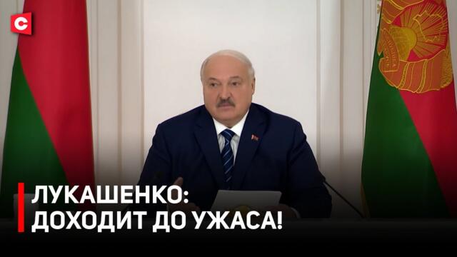 Лукашенко: До глубины души возмущает! | Президент высказался об игроманах и падеже скота