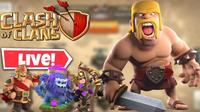Siaran langsung Chief Ass'd