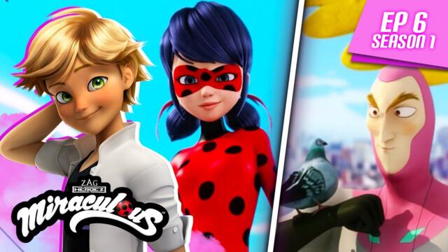 MIRACULOUS | 🐞 MR. PIGEON 🐾 | FULL EPISODE ▶️ Season 1 Episode 6