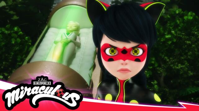 MIRACULOUS | 🐞 RECREATION - Akumatized 🐾 | SEASON 5 | Tales of Ladybug & Cat Noir