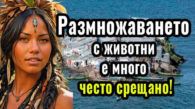 Такаъв е животът на MIGINGO | ОТДАЛЕЧЕН остров, където НЕ СЪЩЕСТВУВАТ ЗАКОНИ!